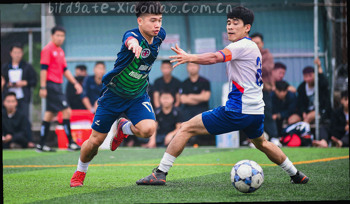 以线条与色块概括的高原地貌轮廓